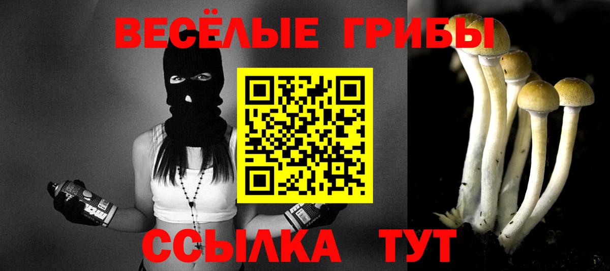 сколько стоит  Галлюциногенные грибы MAGIC MUSHROOMS  Вход с VPN  Галлюциногенные грибы мицелий  Хабаровск 