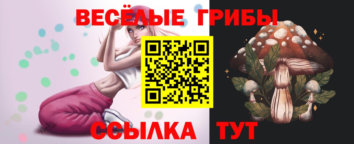 Галлюциногенные грибы GOLDEN TEACHER Хабаровск