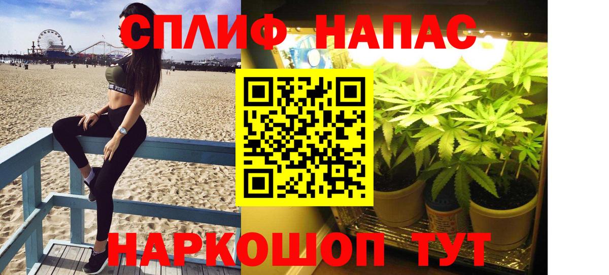 Бошки марихуана сатива  Вход с VPN  Каннабис марихуана  Хабаровск  Марихуана план 